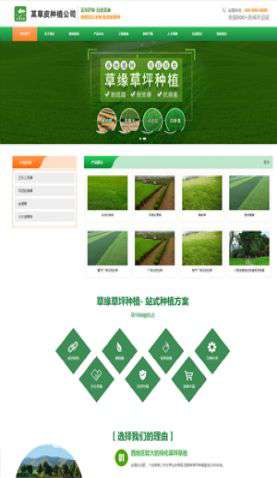 某草皮種植公司 0363